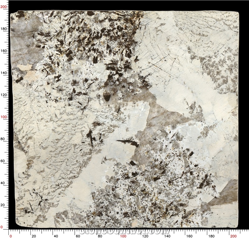 Patagonia Quartzite Slabs Distinctive Grain Robust Durability