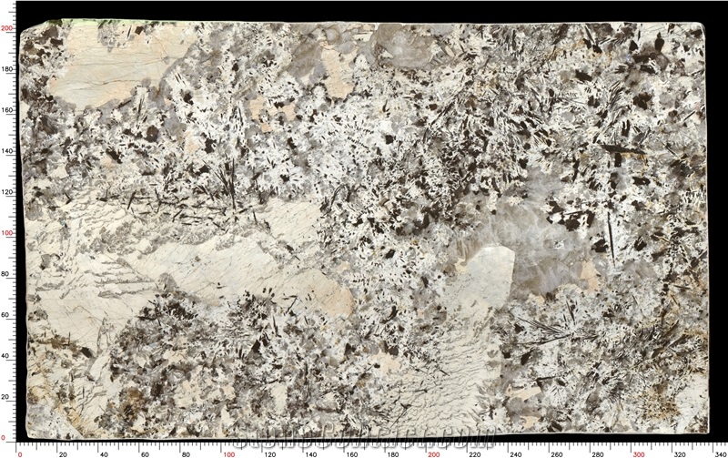 Patagonia Quartzite Slabs Distinctive Grain Robust Durability