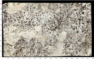 Patagonia Quartzite Slabs Distinctive Grain Robust Durability