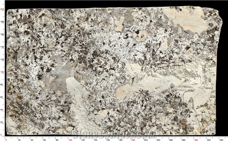 Patagonia Quartzite Slabs Neutral Hues Versatile Appeal