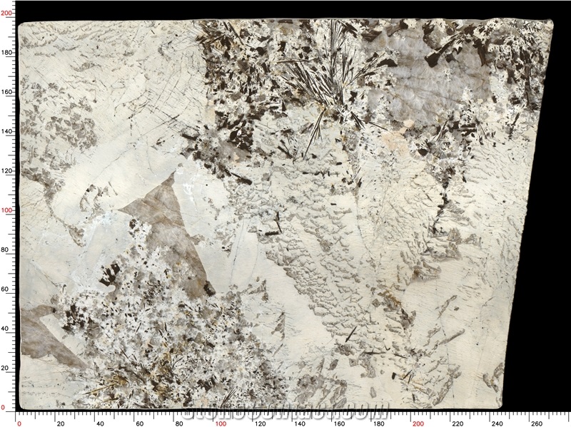 Patagonia Quartzite Slabs Resistant High-End Style