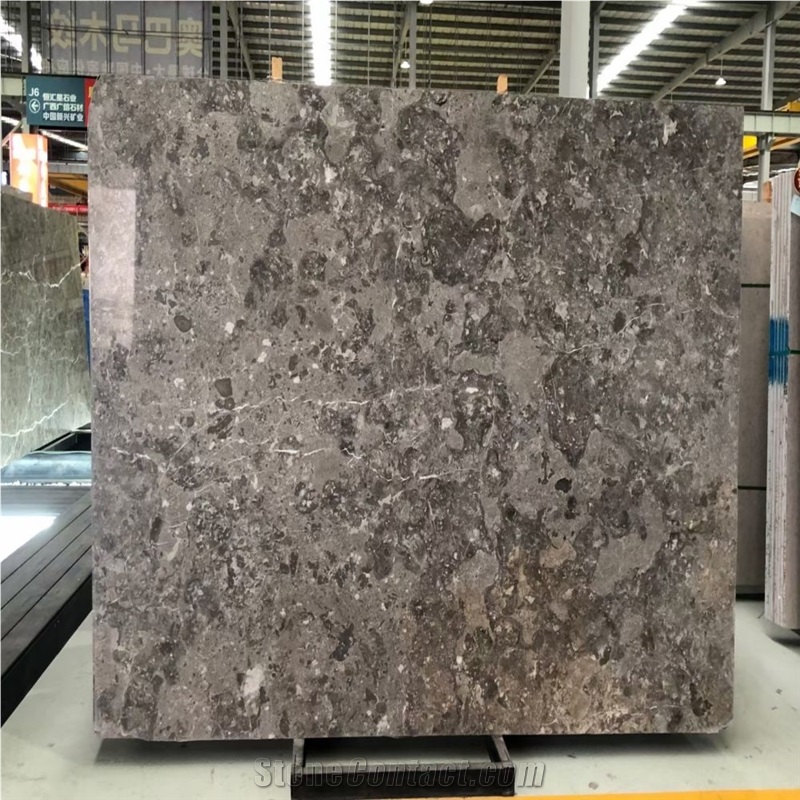 Scottish Gray Marble Slabs Unique Veining, Design Flexibility