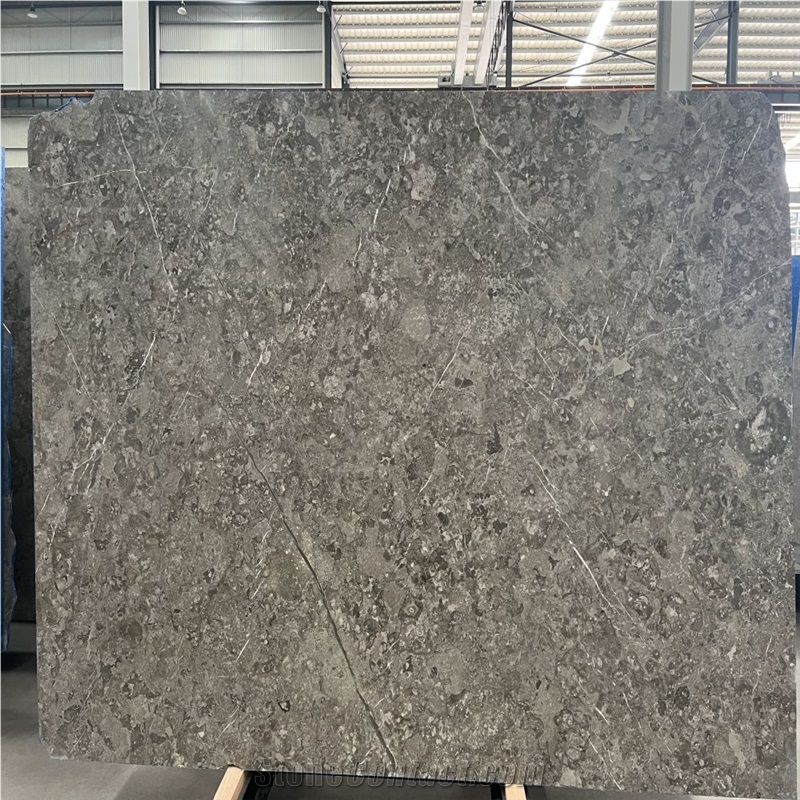Scottish Gray Marble Slabs Unique Veining, Design Flexibility