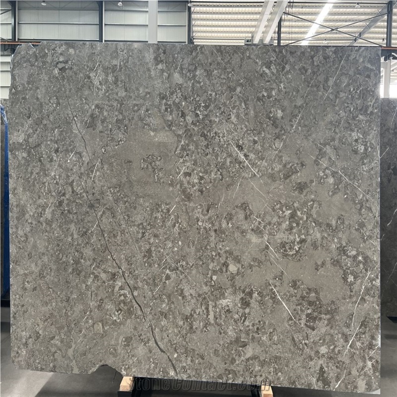 Scottish Gray Marble Slabs Unique Veining, Design Flexibility