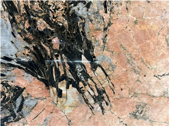 Pandora  Pink  Quartzite Slabs