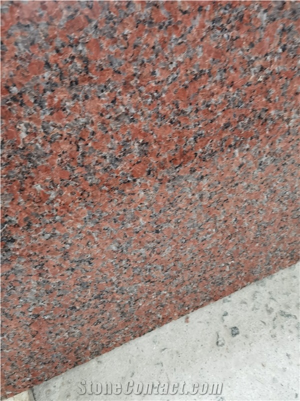 China G562  Maple Red Granite Tiles