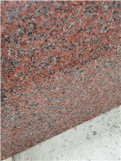 China G562  Maple Red Granite Tiles