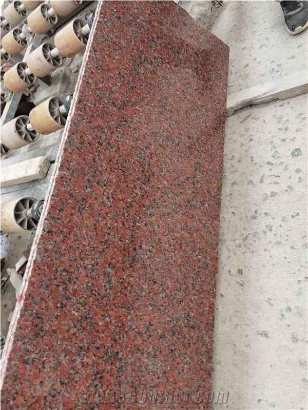 China G562  Maple Red Granite Tiles