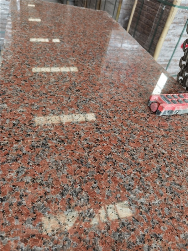 China G562  Maple Red Granite Tiles