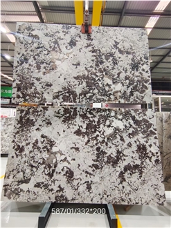 Exclusive New Style Adonis White Granite Slabs