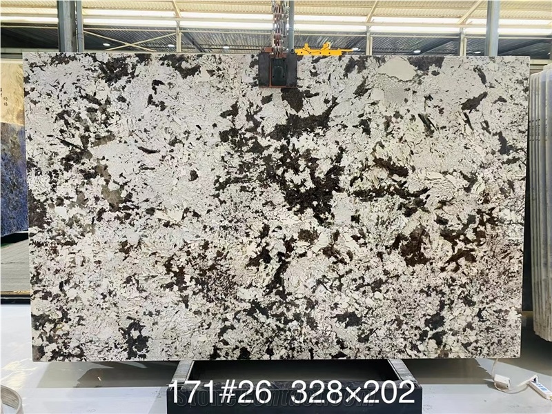 Exclusive New Style Adonis White Granite Slabs