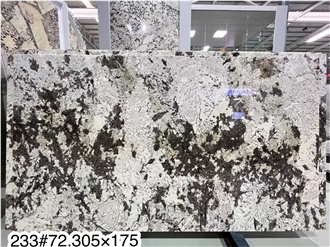 Exclusive New Style Adonis White Granite Slabs