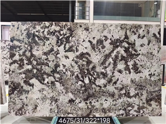 Exclusive New Style Adonis White Granite Slabs