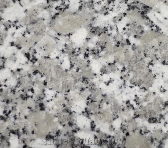 (Vietnam Granite) Rock Ville - Suoi Lau White Granite Slabs