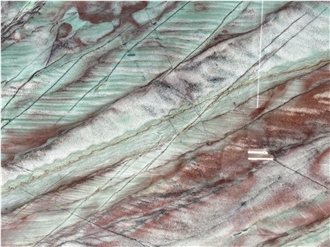 Botanic Green Quartzite Brazilian Polished Slabs For Home Decoration