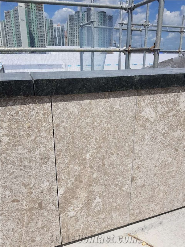 Israel Jerusalem Grey Limestone Slabs Customize Size Honed