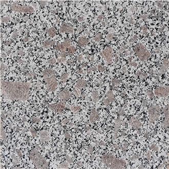 Pearl Flower Granite Floor Tile