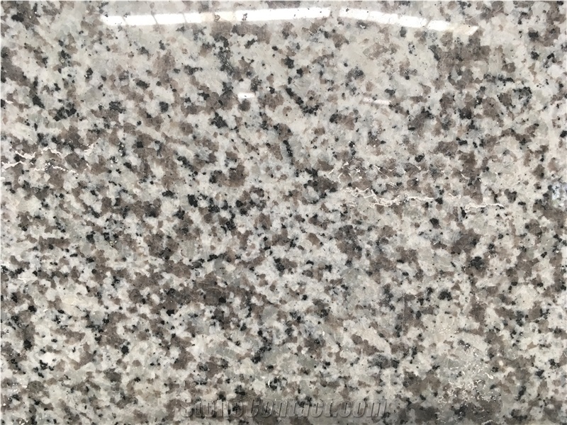 Natural G439 Granite Polished Slabs