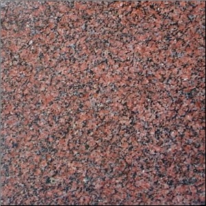 China G352 Marshal Red Granite Tiles