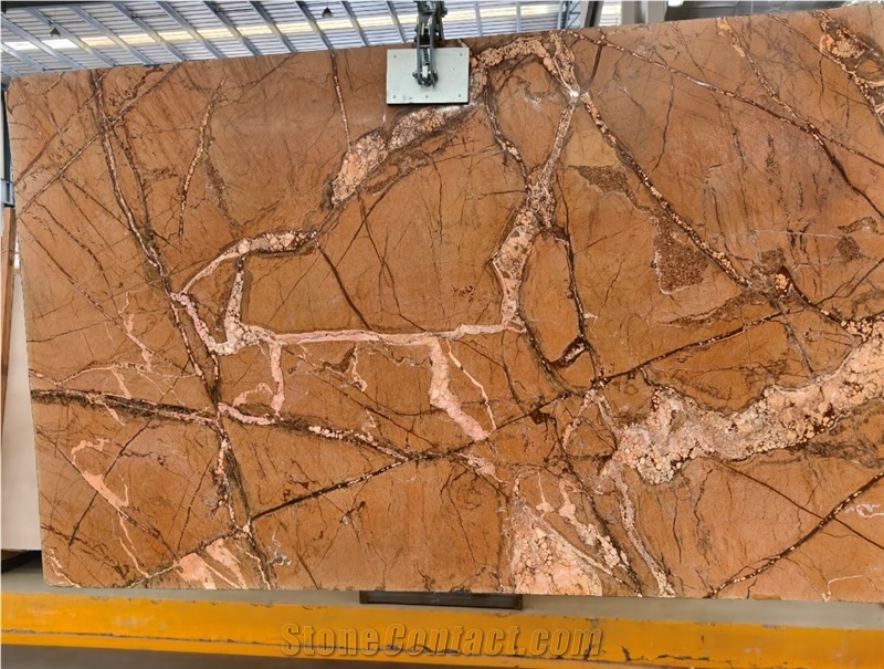 Kungfu Stone Rainforest Golden Coffee Marble Slabs
