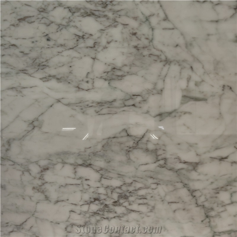 Kungfu Stone Supply Corchia White Marble Slabs