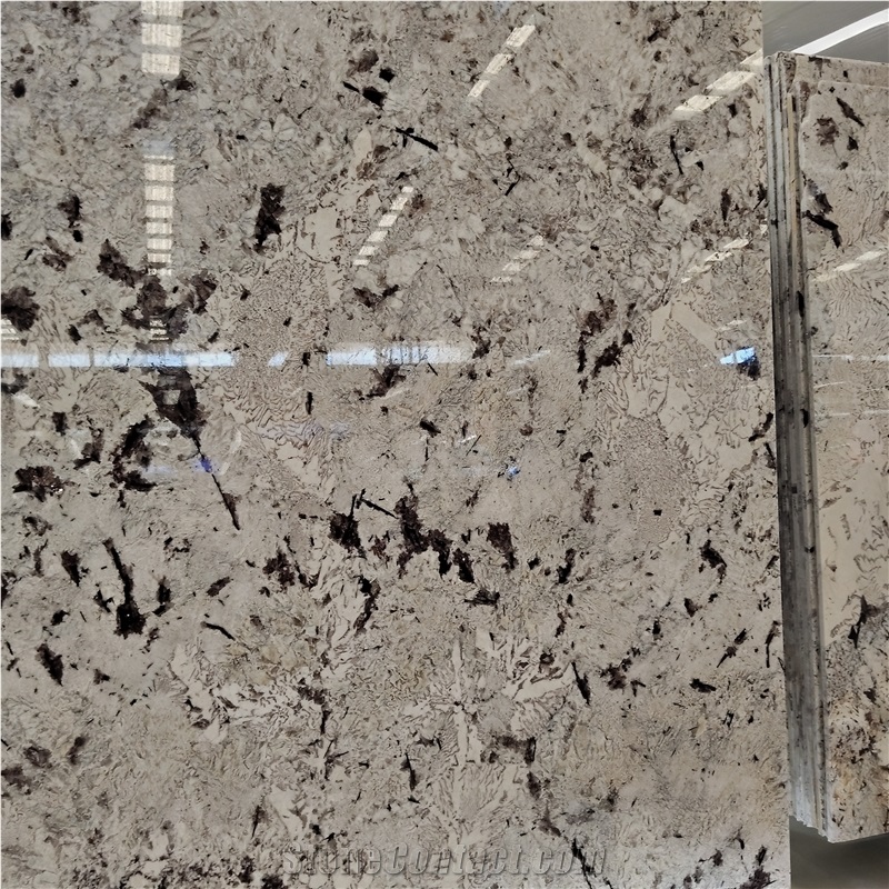Kungfu Stone Supply Delicatus White Granite Slabs
