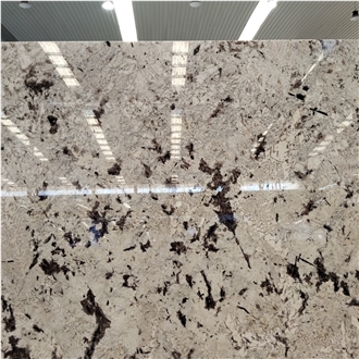 Kungfu Stone Supply Delicatus White Granite Slabs