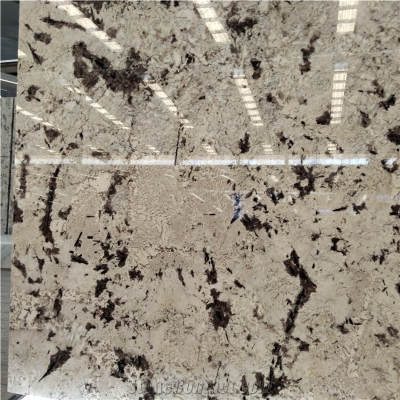 Kungfu Stone Supply Delicatus White Granite Slabs