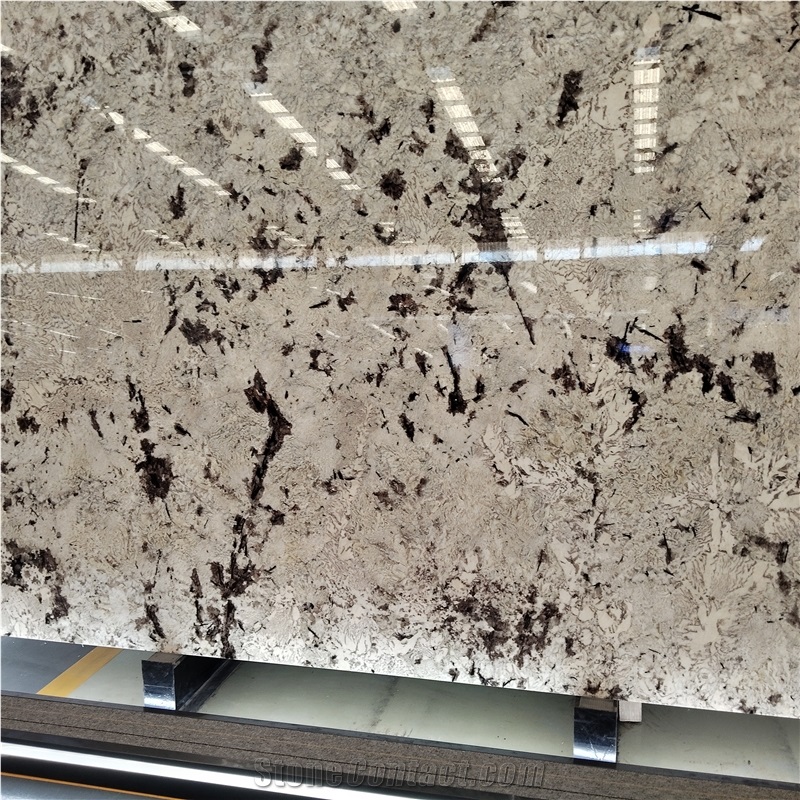 Kungfu Stone Supply Delicatus White Granite Slabs
