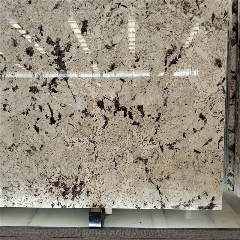 Kungfu Stone Supply Delicatus White Granite Slabs