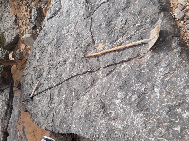 Sidi Ali Tafraout Errachidia Black Coral Marble Quarry