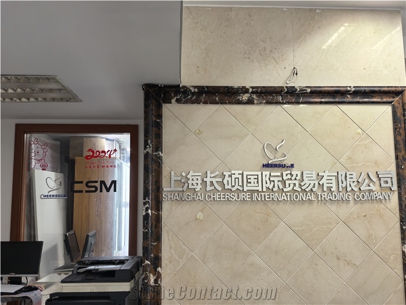 SHANGHAI CHEERSURE INTERNATIONAL TRADING COMPANY