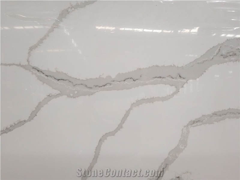 1801 CALACATTA  Quartz Slabs