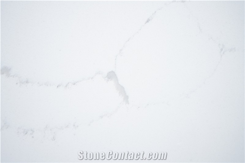 1801D Calacatta Quartz Slabs