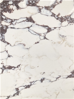 Calacatta Viola Quartz Engineered Stone Slabs