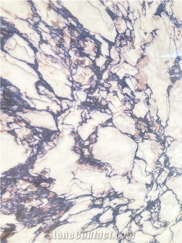Calacatta Viola Quartz Engineered Stone Slabs