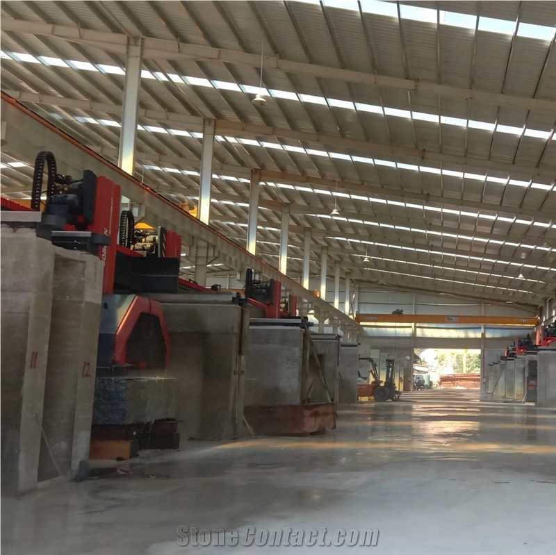 Large Disc Circular Saw Block Cutter Giant Disc Saw Machine - 22 Pcs