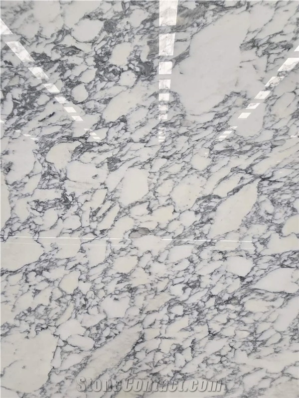 High Quality Arabescato Marble Slabs