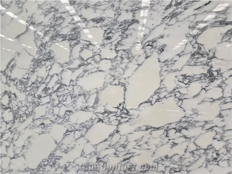 High Quality Arabescato Marble Slabs