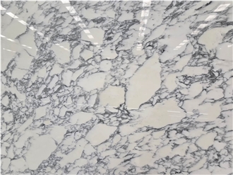 High Quality Arabescato Marble Slabs