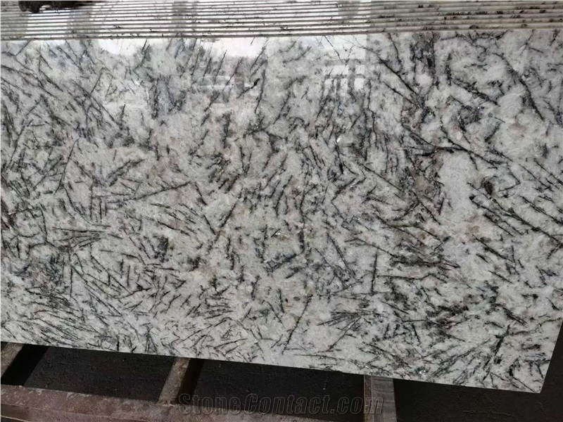 Polished Splendor White Granite Slabs