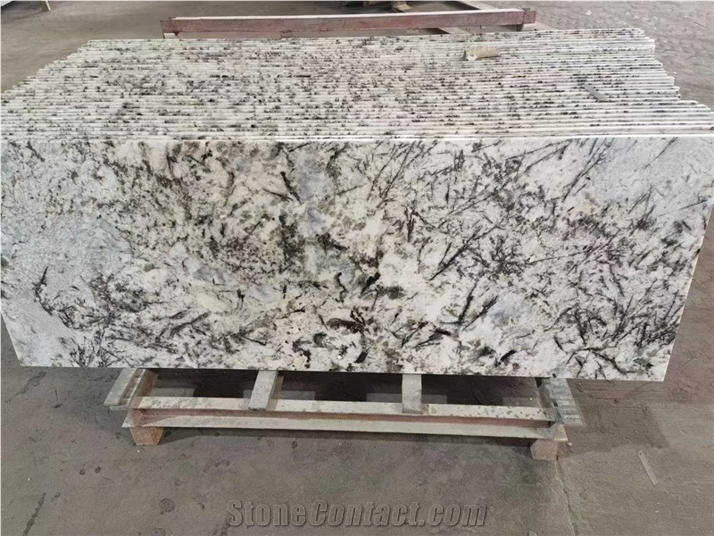 Polished Splendor White Granite Slabs