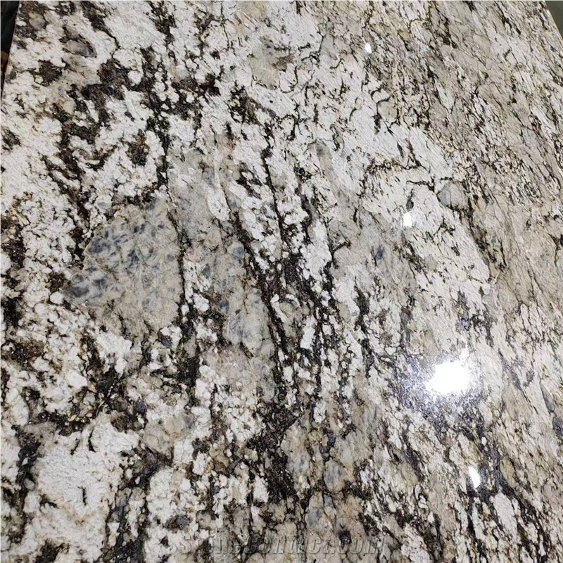 Polished Splendor White Granite Slabs
