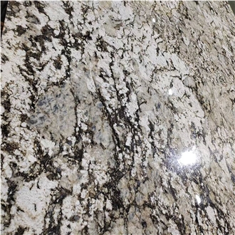 Polished Splendor White Granite Slabs
