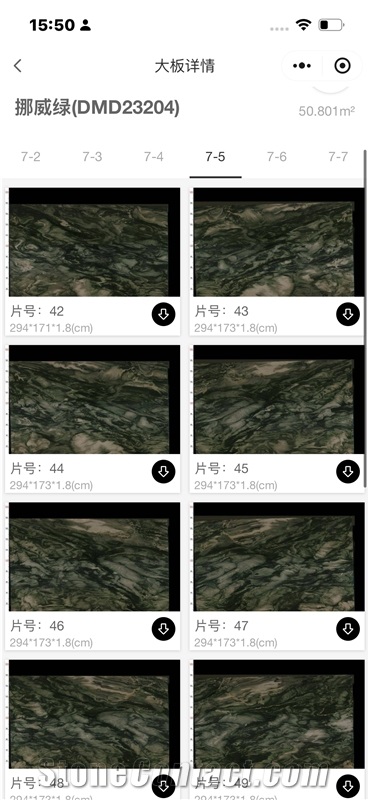 DMD Verde Lapponia Green Quartzite Slabs