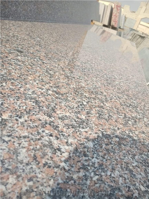 Gandolla Granite Slabs