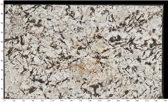Bianco Antico Granite Slabs Displaying Mottled Gray Textures