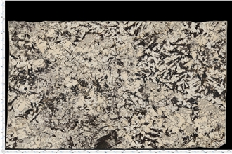 Bianco Antico Granite Tiles Exhibiting Layered Dark Textures