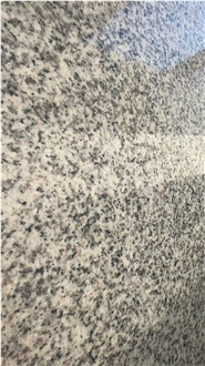G603 Granite Tiles Highlighting Durable Build