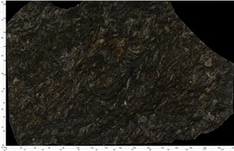 Kozmus Granite Slabs With Intricate Dark - Gray Veins